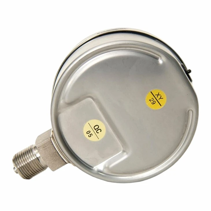 100mm SS316L Vibration Resistant Pressure Gauges suppliers 100mm SS316L Vibration Resistant Pressure Gauges suppliers