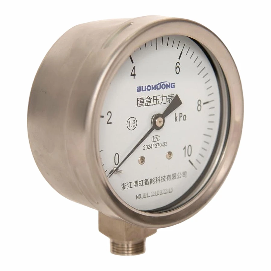 Low Pressure Capsule Pressure Gauge manufacturers Low Pressure Capsule Pressure Gauge manufacturers